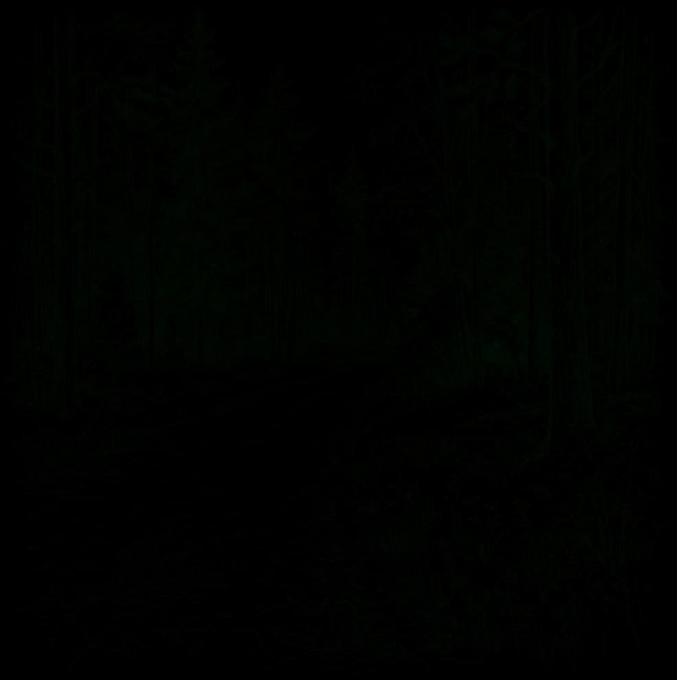 Piirroskuvitus soratiestä, joka jatkuu esteettömästi metsäpolkuna havumetsään.