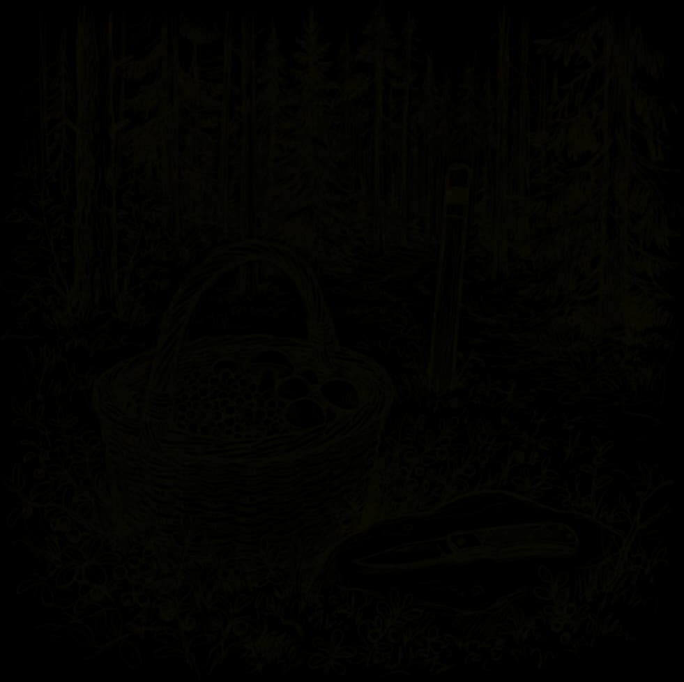 Piirroskuvitus kuusimetsän sammaleisesta pohjasta. Etualalla on pajukori, jossa on puolukoita ja muutamia sieniä, ja kiven päällä lepää taittuva linkkuveitsi. Taustalla polun reunassa seisoo reittimerkkipaalu.