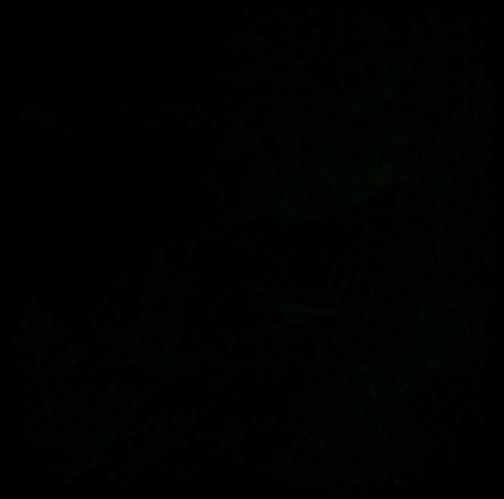 Linopiirroskuvitus luonnontilaisesta uimapaikasta Pirkanmaan metsäisellä harjulla, avara järvimaisema alhaalla.
